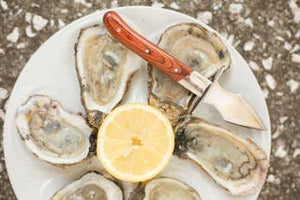 The Carolina Shucker