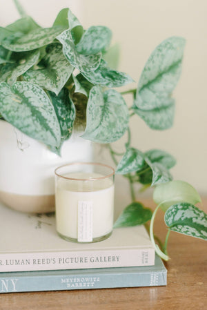 9 oz Archive Candle - Linen - Essentially Charleston