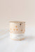 Candlefish No. 70 Gold Scale Ceramic Candle 11 oz - Essentially Charleston