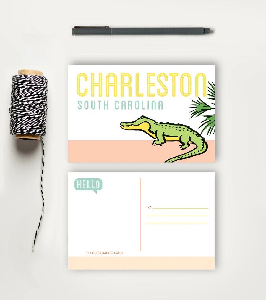 Charleston Alligator Sightseeing Postcard - Essentially Charleston