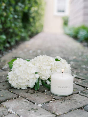 Hydrangea Soy Candle | Charleston Candle Co. (16 oz.) - Essentially Charleston