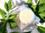 Peppermint Twist Menthol Shower Steamers - Essentially Charleston