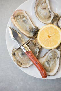 The Carolina Shucker - Essentially Charleston