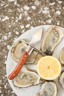 The Carolina Shucker - Essentially Charleston