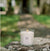 Charleston Candle Company No. 13 Spanish Moss Candle - Essentially Charleston
