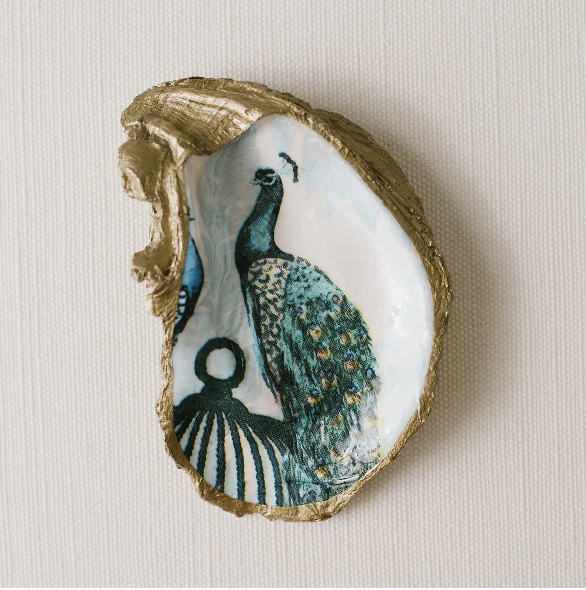 Grit Grace Oyster Serenity Collection Jewelry Dish: Peacock