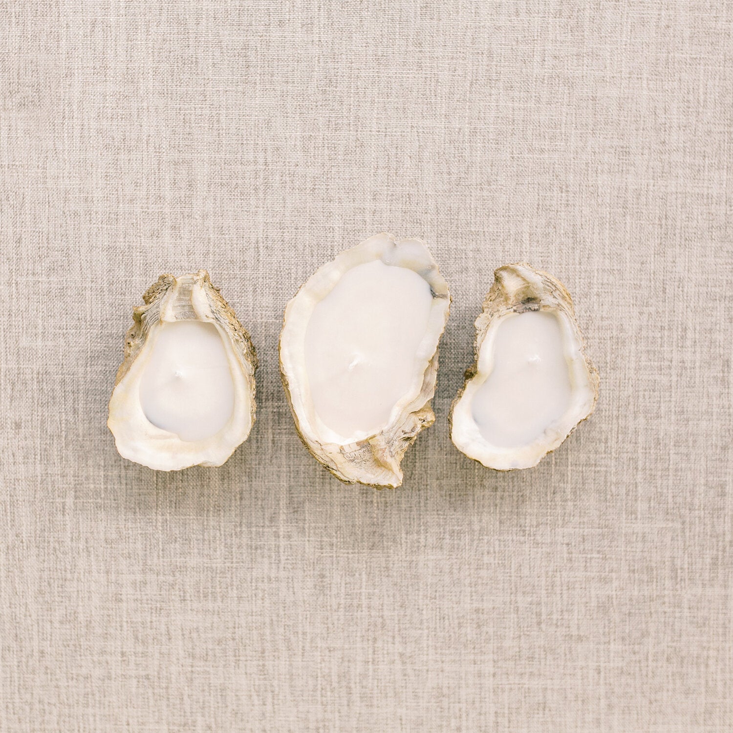Grit & Grace Oyster Shell Candle - Essentially Charleston