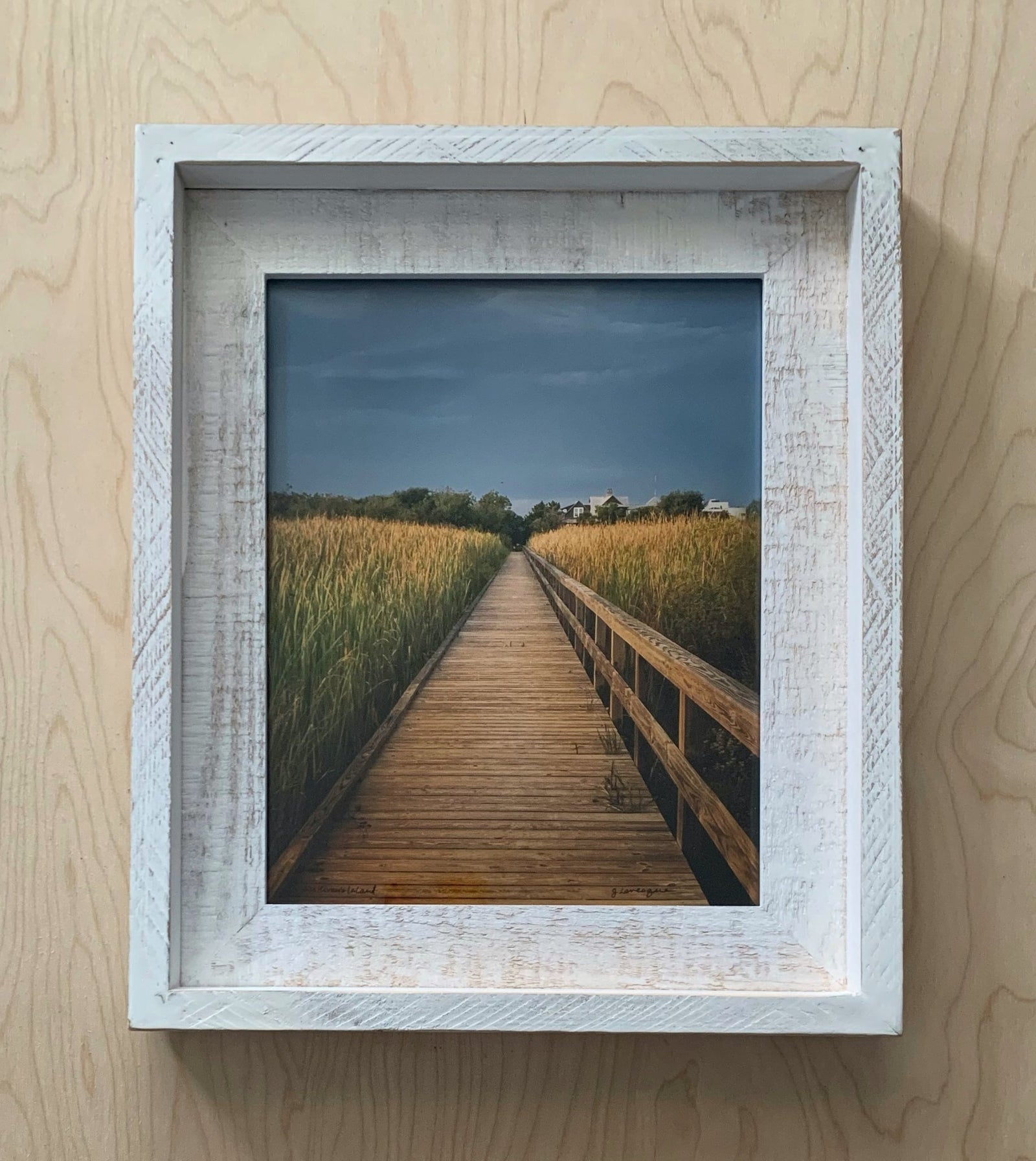 Jackie Levesque Photography: "Beach Pathway in Autumn" - Essentially Charleston