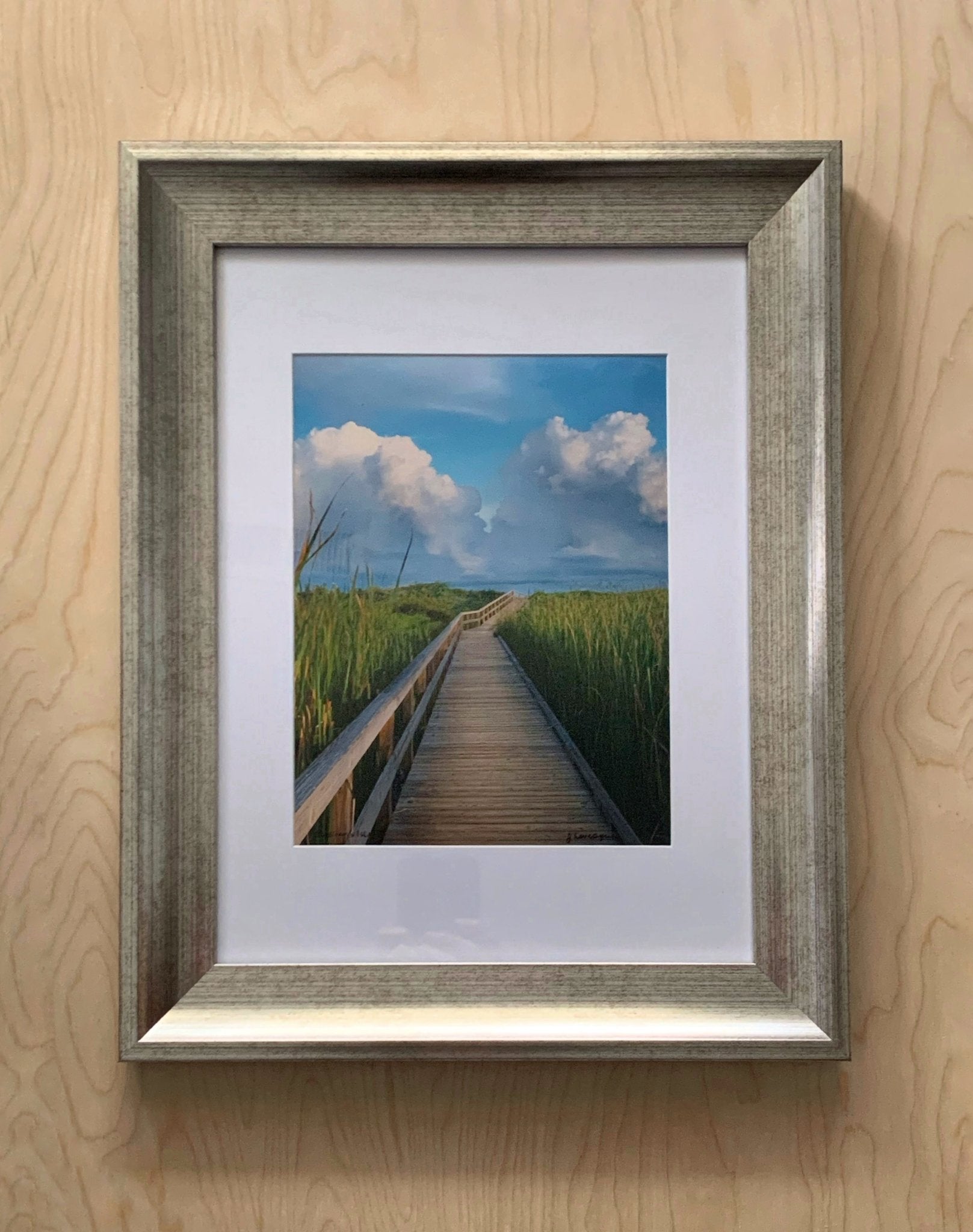 Jackie Levesque Photography: "Clouds on a Beach Path" - Essentially Charleston