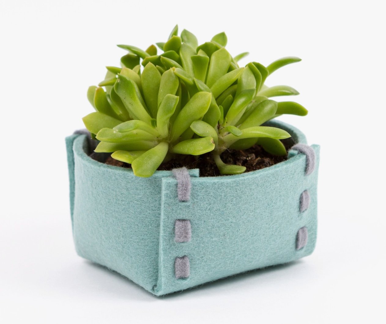 Studio 82° Woven Bowl - Merino Wool Felt (3 colors) - Essentially Charleston